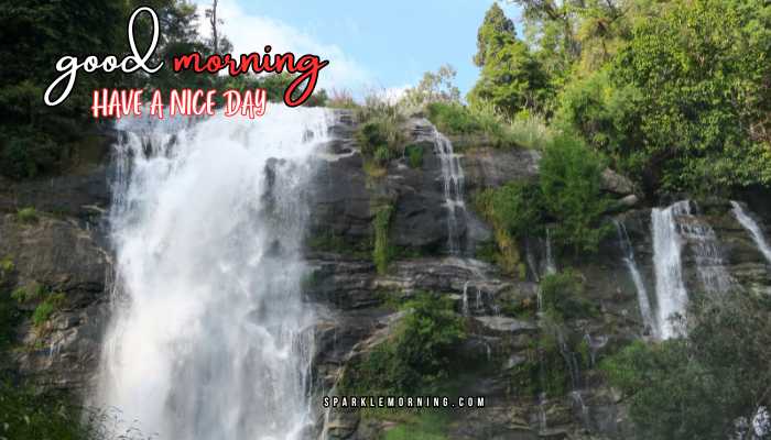 good morning have a nice day images (