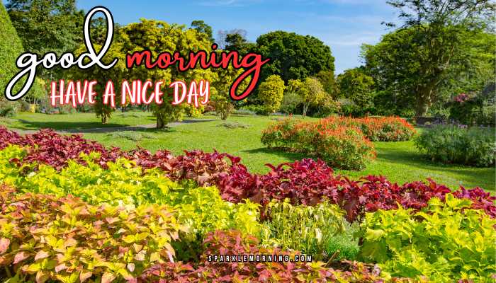 good morning have a nice day images (