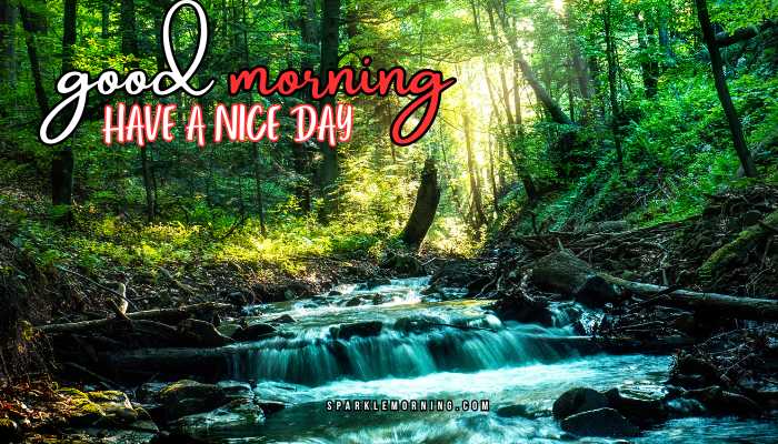 good morning have a nice day images