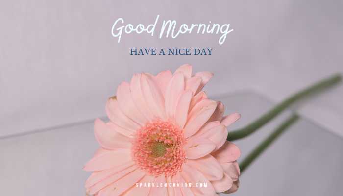 good morning have a nice day images