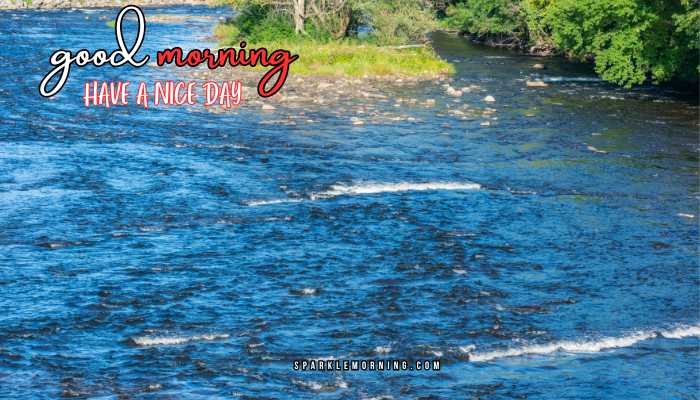 good morning have a nice day images