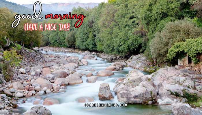 good morning have a nice day images