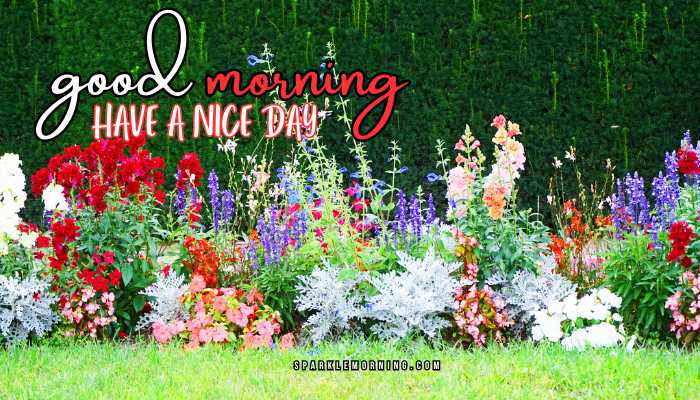 good morning have a nice day images
