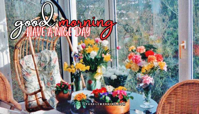 good morning have a nice day images