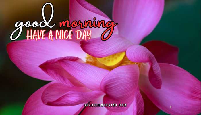 good morning have a nice day images