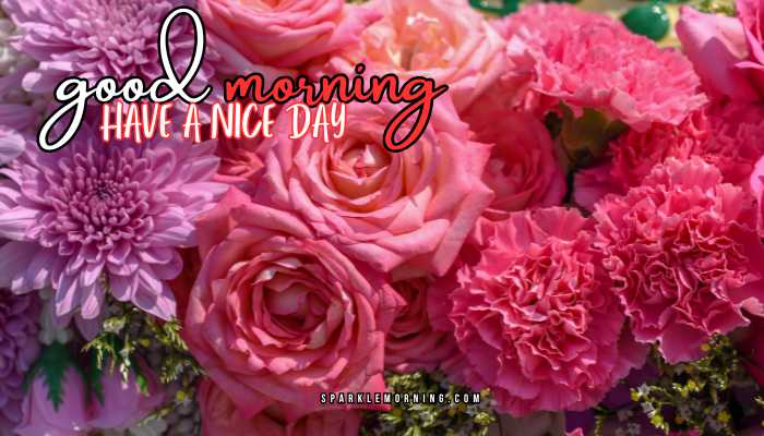 good morning have a nice day images