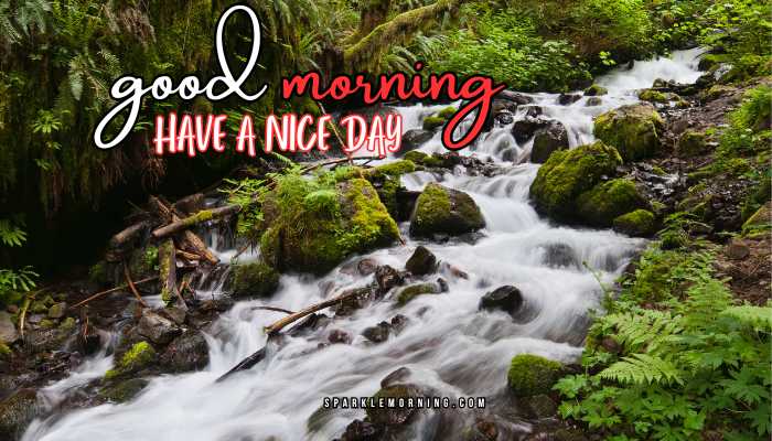 good morning have a nice day images