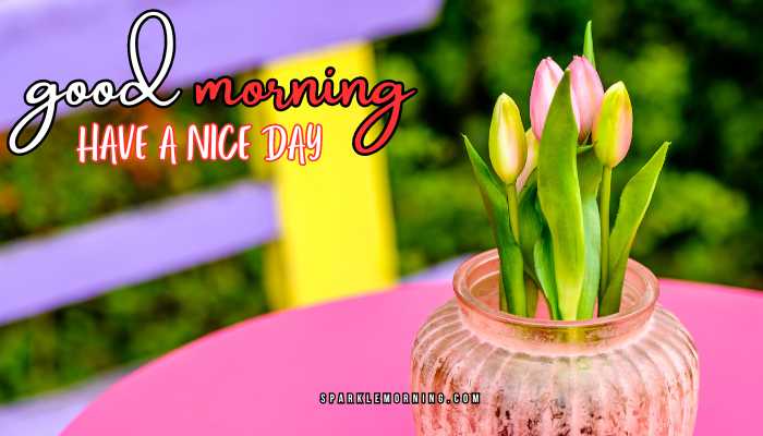 good morning have a nice day images