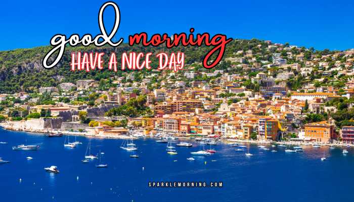 good morning have a nice day images