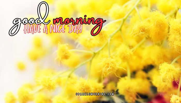 good morning have a nice day images