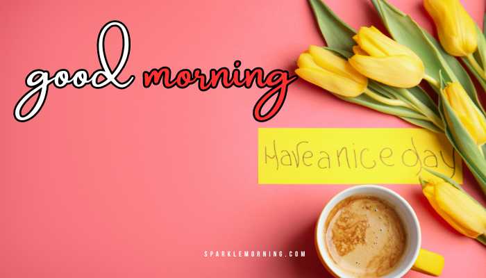 good morning have a nice day images