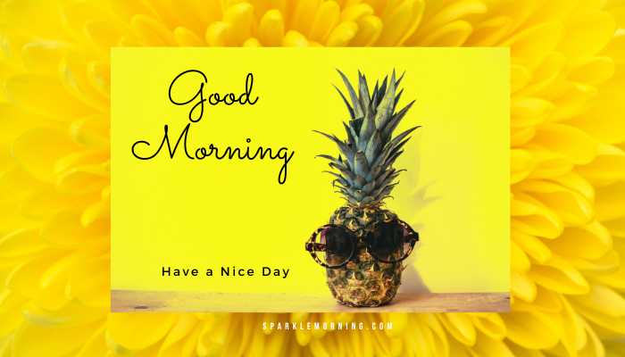 good morning have a nice day images