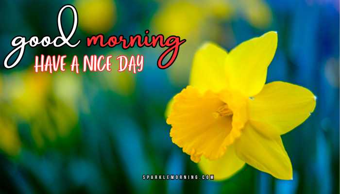 good morning have a nice day images