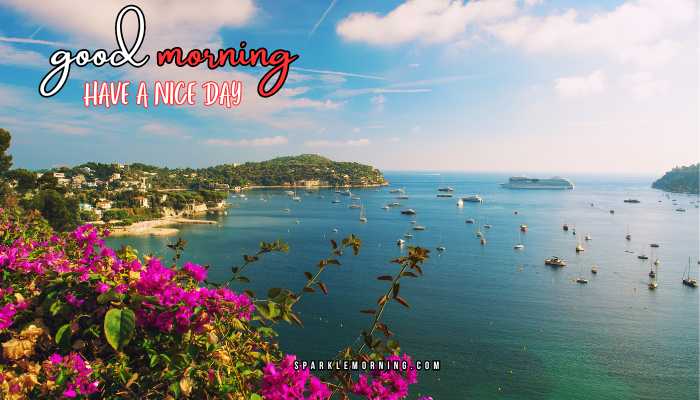 good morning have a nice day images