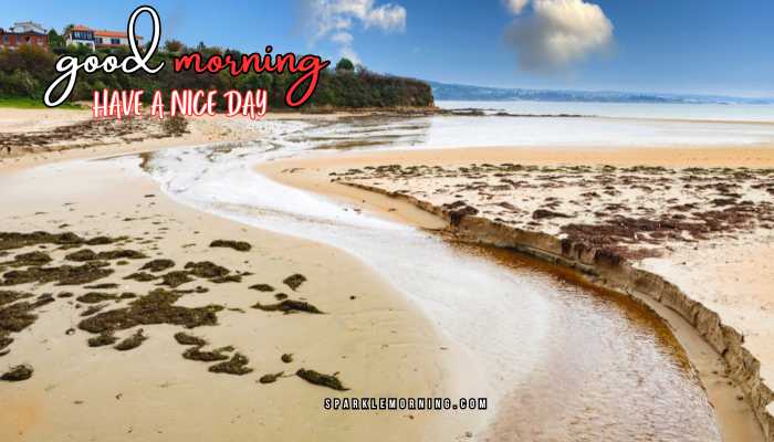 good morning have a nice day images