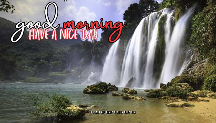 good morning have a nice day images