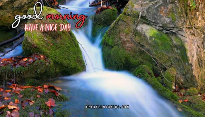 good morning have a nice day images