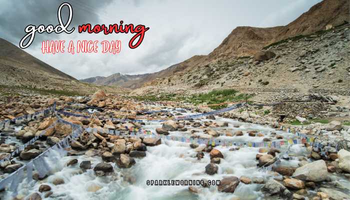 good morning have a nice day images