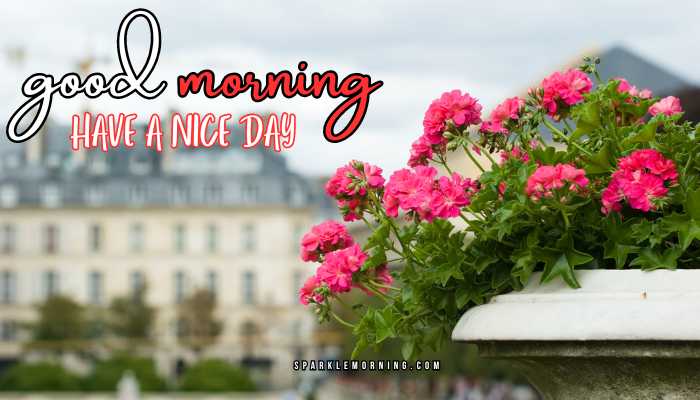 good morning have a nice day images