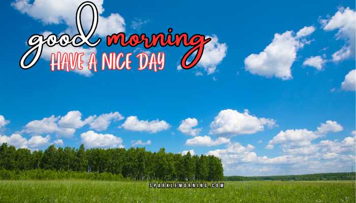good morning have a nice day images