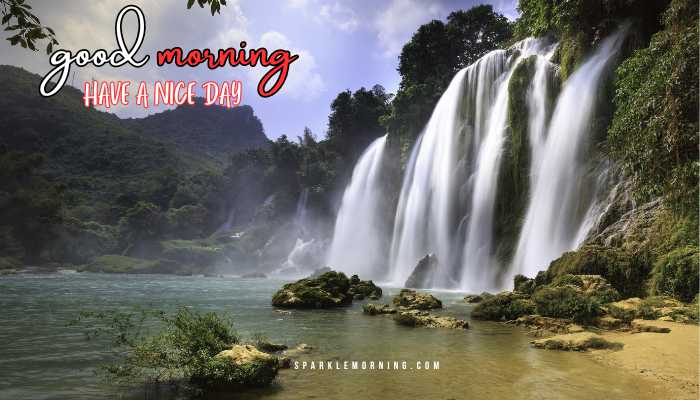 good morning have a nice day images