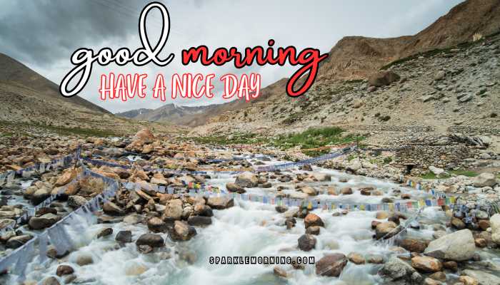 good morning have a nice day images