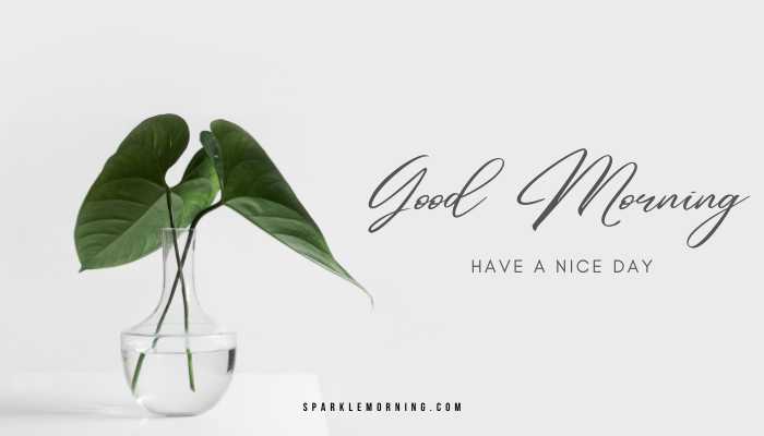good morning have a nice day images