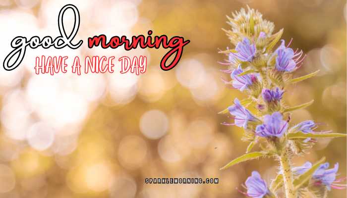 good morning have a nice day images