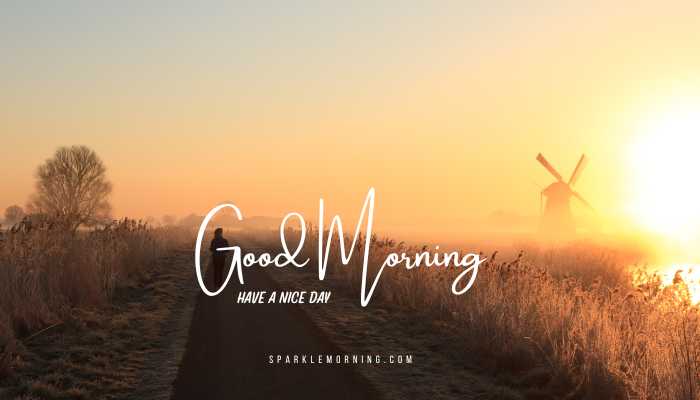good morning have a nice day images