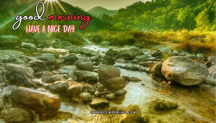good morning have a nice day images