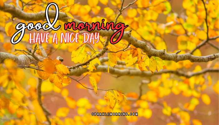 good morning have a nice day images