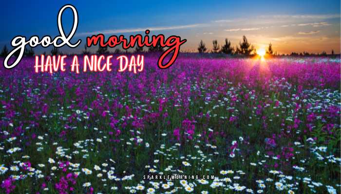 good morning have a nice day images