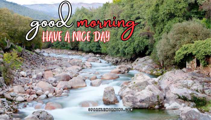 good morning have a nice day images
