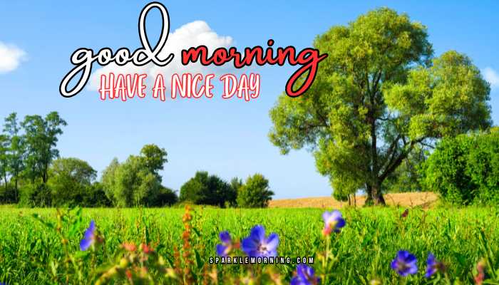 good morning have a nice day images