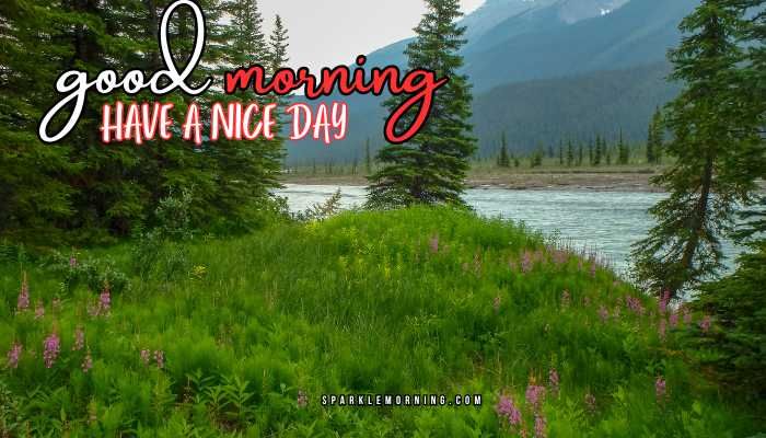 good morning have a nice day images