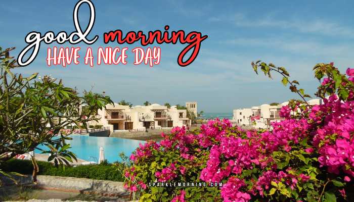 good morning have a nice day images