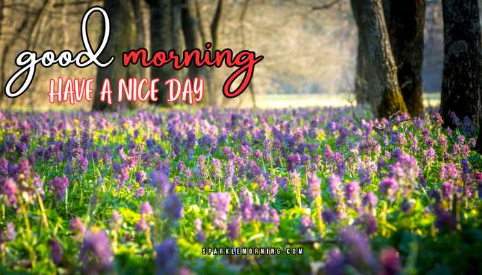 good morning have a nice day images