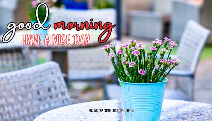 good morning have a nice day images