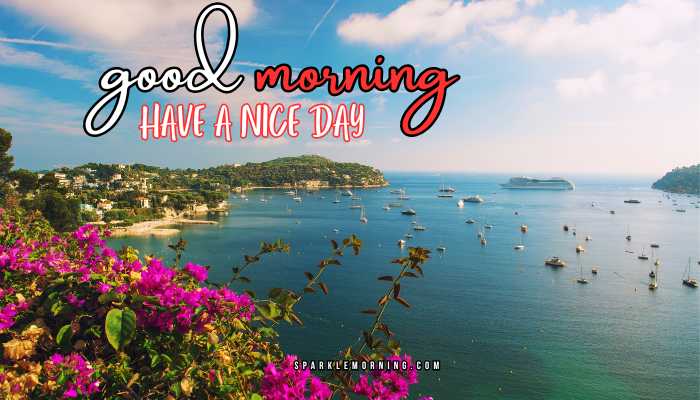 good morning have a nice day images (