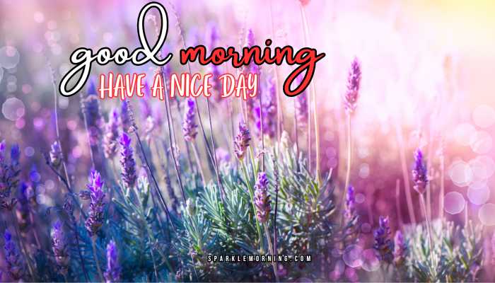 good morning have a nice day images (