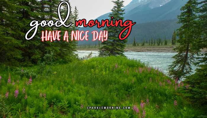 good morning have a nice day images (
