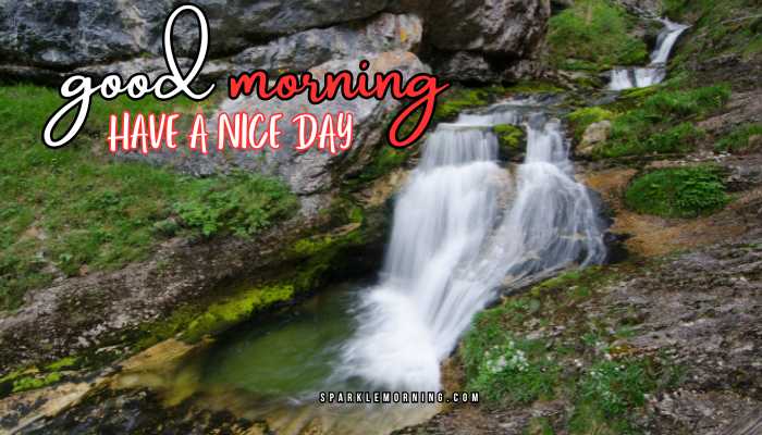 good morning have a nice day images (