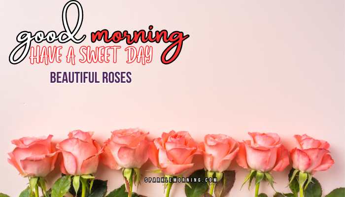 good morning roses images