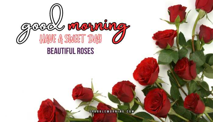 good morning roses images