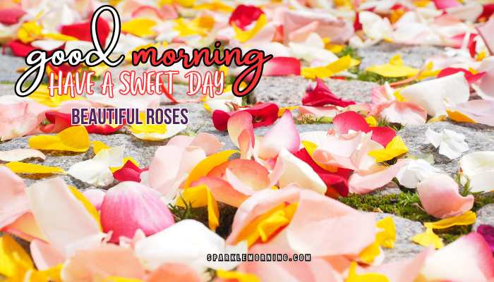 good morning roses images