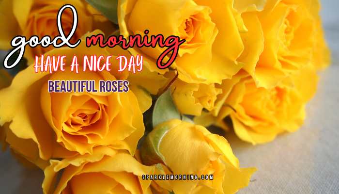 good morning roses images