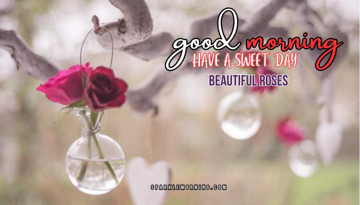 good morning roses images