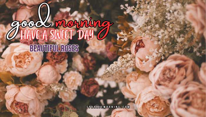 good morning roses images