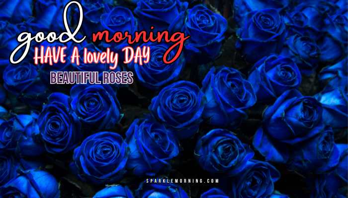 good morning roses images