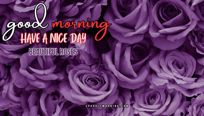good morning roses images